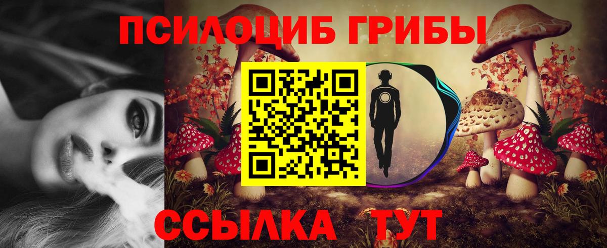 Галлюциногенные грибы Psilocybine cubensis  Галлюциногенные грибы MAGIC MUSHROOMS  Черногорск  Вход с VPN 
