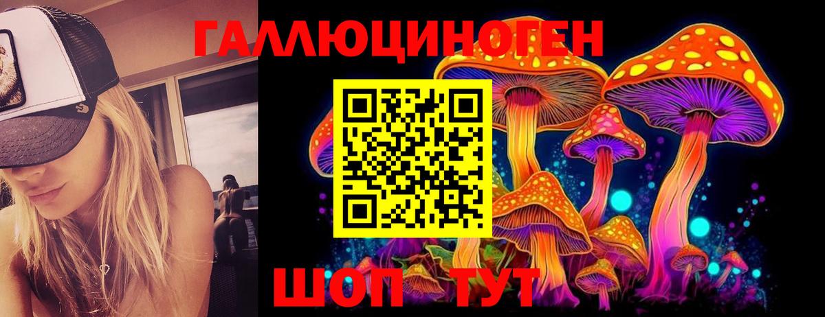 Галлюциногенные грибы Cubensis Черногорск